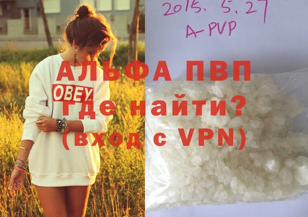 первитин Богданович