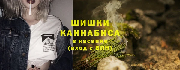 первитин Богданович