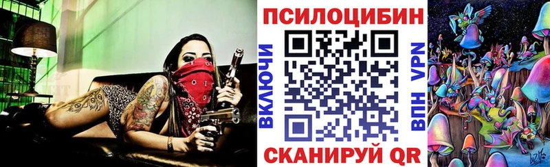 магазин продажи наркотиков  mega как войти  Псилоцибиновые грибы прущие грибы  Динская 